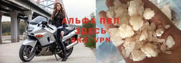 стаф Дмитриев