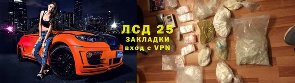 стаф Дмитриев