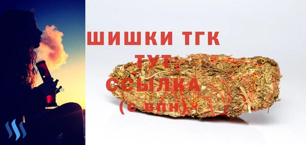 стаф Дмитриев