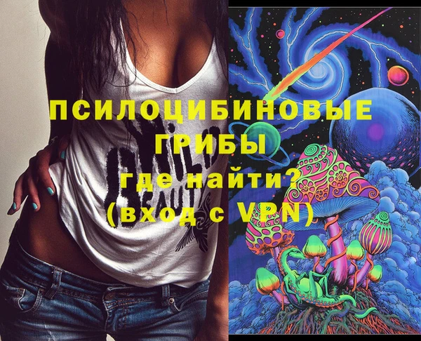 стаф Дмитриев
