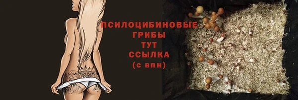 jwh Дмитров
