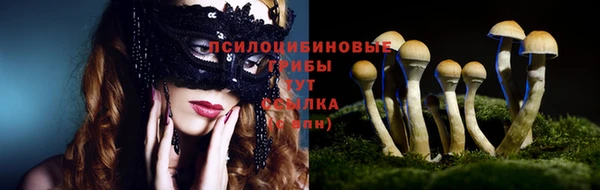 стаф Дмитриев
