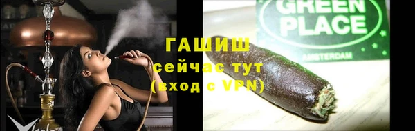 стаф Дмитриев