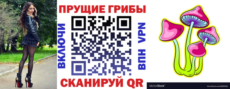 Псилоцибиновые грибы мицелий  Купить где  Звенигово 